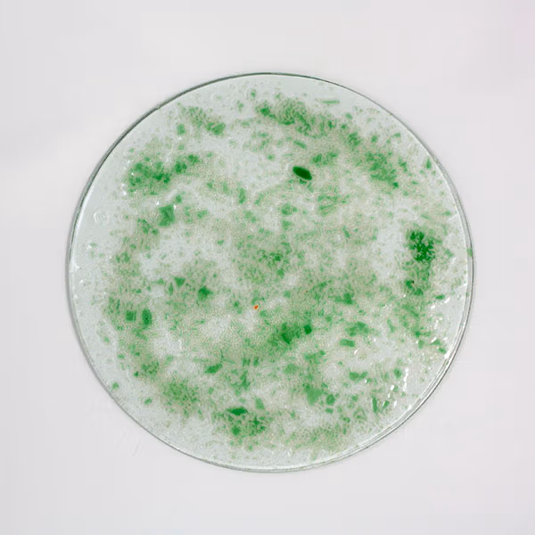 bajo plato verde